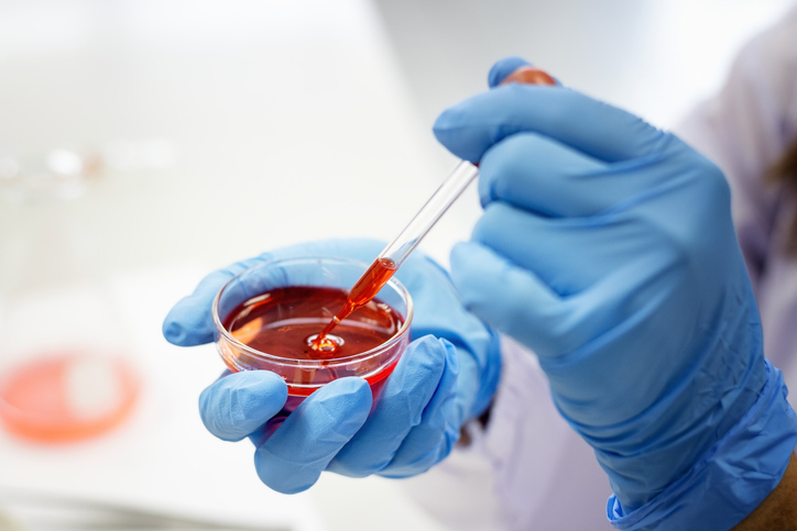 Researchers collaborating in a laboratory
